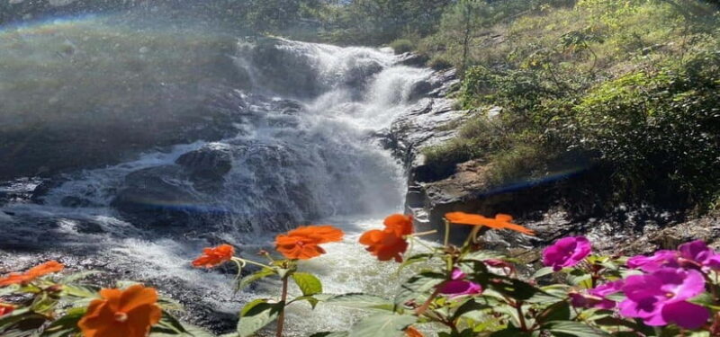 From Nha Trang: Best Seller Top Site Luxury Da Lat City Trip - Key Points