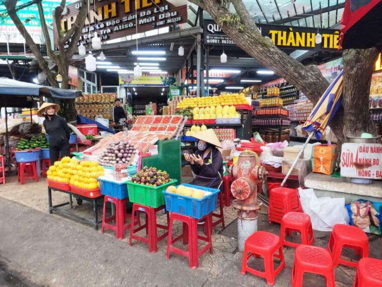 from-nha-trang-day-trip-to-dalat-with-lunch