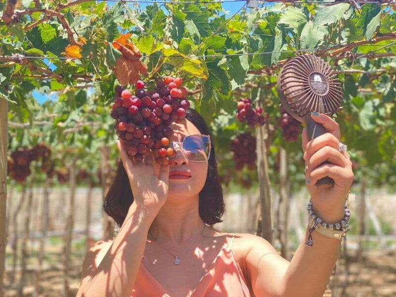 from-nha-trang-phan-rang-tanyoli-sand-dunes-day-trip