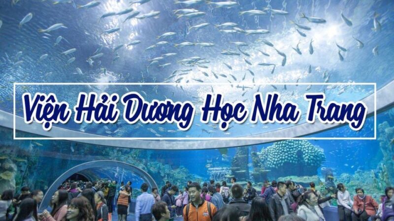 From Nha Trang: Top Sight Must Visit City Tour - What to Expect from the Full Tour