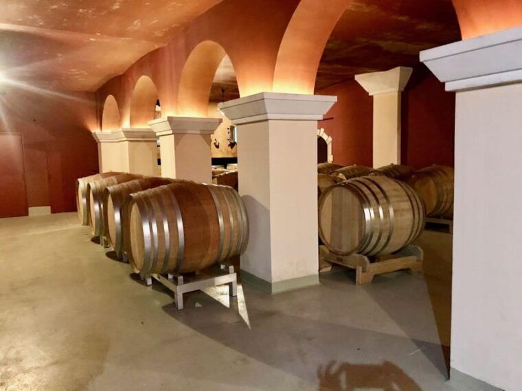 from-nice-cannes-saint-paul-de-vence-and-wine-tasting