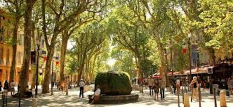 from-nice-full-day-provence-and-lavender-tour