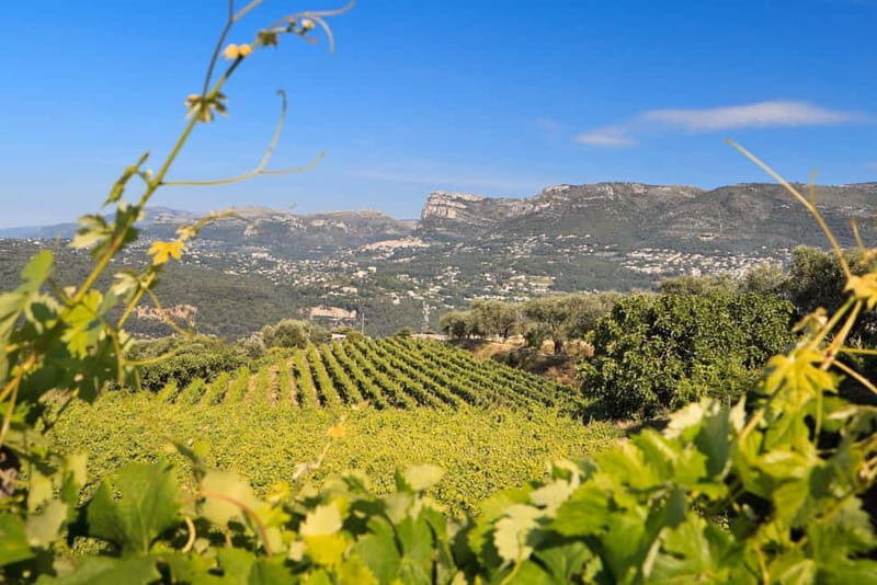 From Nice: Half-Day Wine Tour in the Bellet Wine Region - Practical Details and Comfort