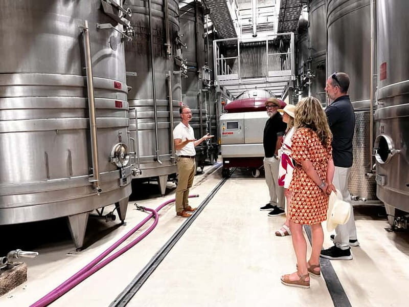 From Nice: Half-Day Wine Tour in the Bellet Wine Region - Who Will Love This Tour?