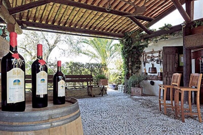 from-nice-private-bellet-wine-tasting-day-trip