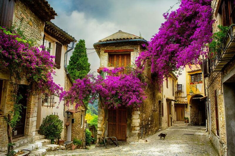 from-nice-provence-and-its-medieval-villages-full-day-tour