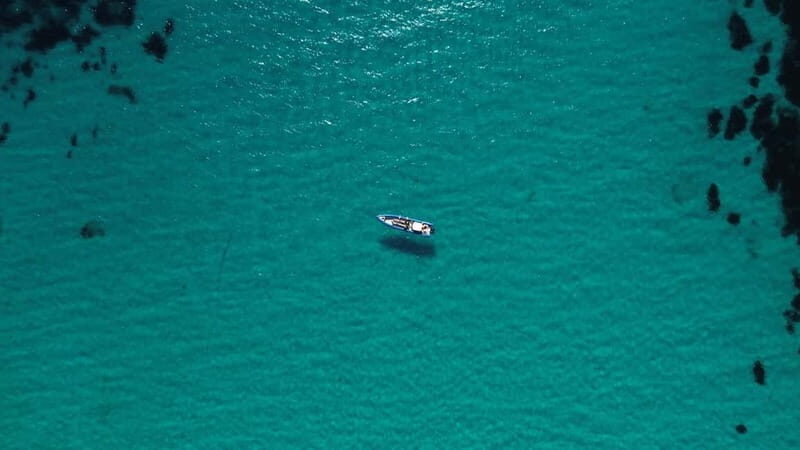 From Nice: Snorkeling & Scenic Swim Stop in Villefranche - Key Points