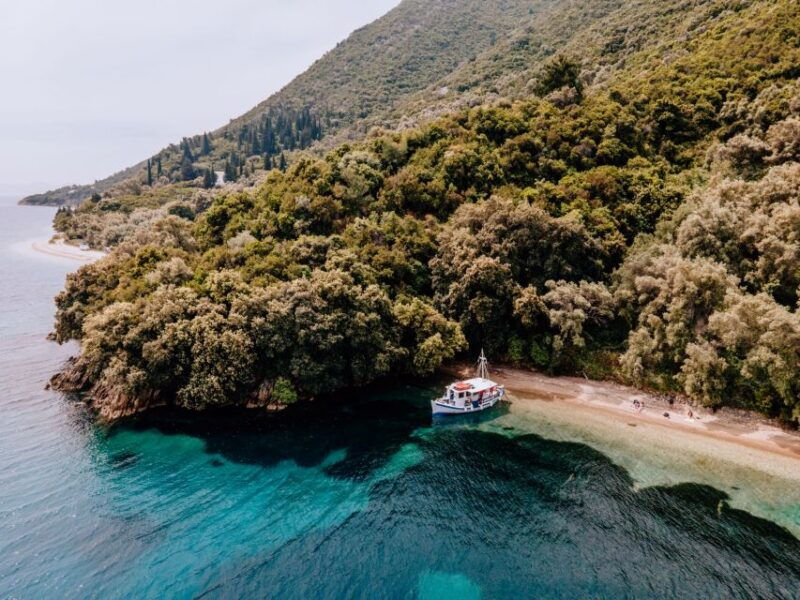 from-nidri-marine-wildlife-cruise-with-lunch-and-swim-stops