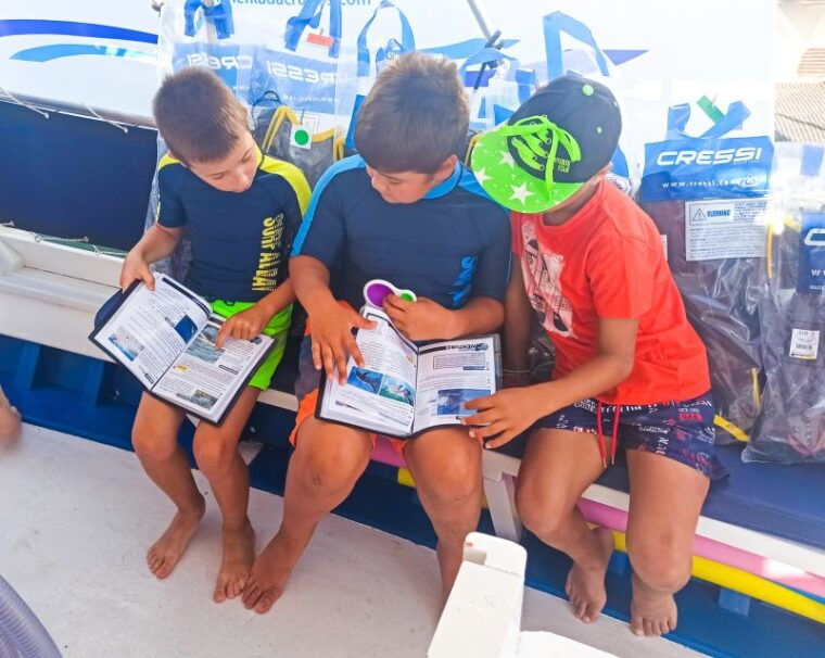 from-nidri-marine-wildlife-cruise-with-lunch-and-swim-stops