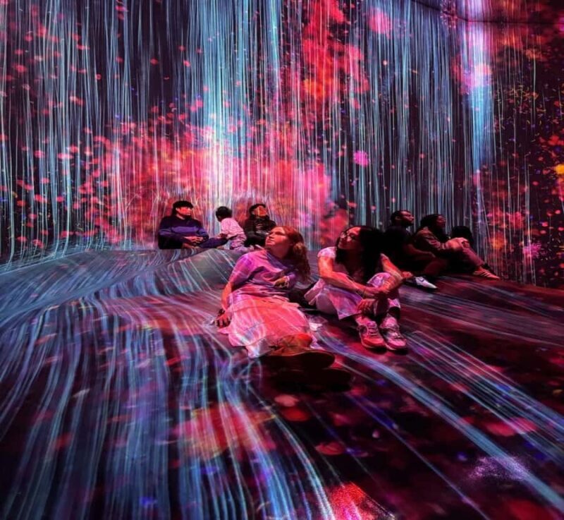 From Nikko: Tokyo Art, Architecture, and Skyline Tour - Why This Tour Works Well