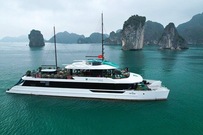 From Ninh Binh: 1 Day Lan Ha Bay Premium Cruise - Key Points