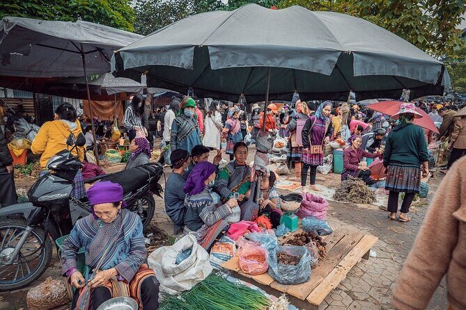 From Ninh Binh: 4 Day Ha Giang Loop Motorbike Tour With Rider - Who Is This Tour Best For?