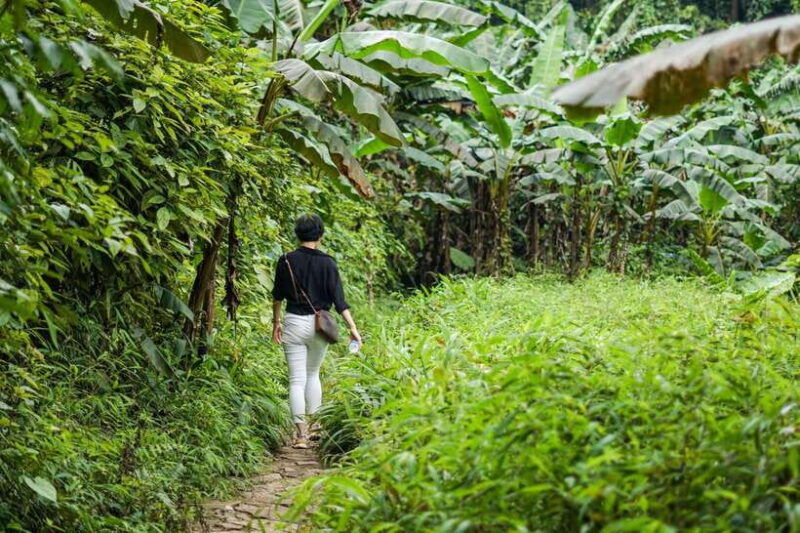 from-ninh-binh-cuc-phuong-national-park-1-day-small-group