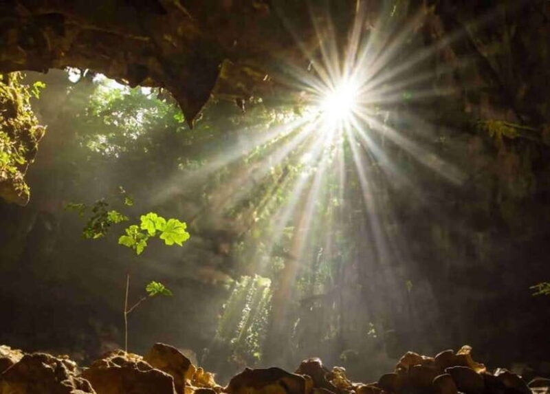 from-ninh-binh-cuc-phuong-national-park-day-trip