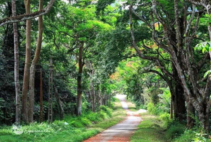 from-ninh-binh-cuc-phuong-national-park-day-trip