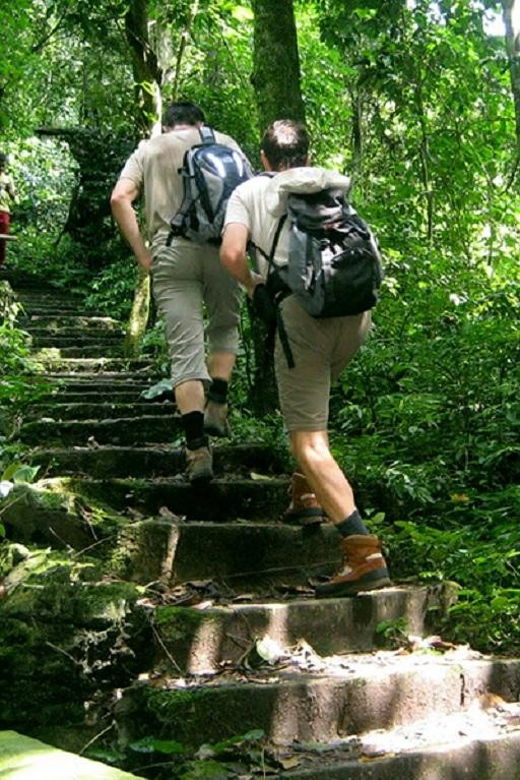 from-ninh-binh-cuc-phuong-national-park-full-day-trip