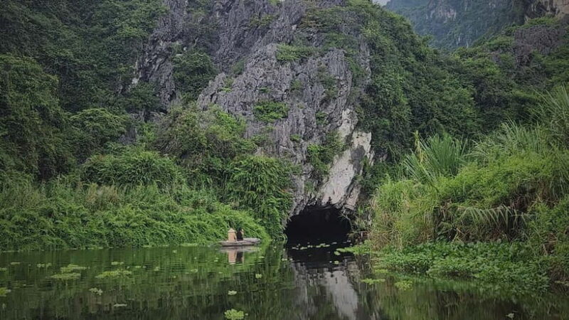 From Ninh Binh: Cuc Phuong - Van Long Small Group Tours - Visit to Cuc Phuong National Park  