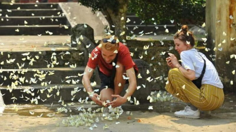 From Ninh Binh: Cuc Phuong - Van Long Small Group Tours - Trek to the Ancient Trees and Cave of Prehistoric Man  