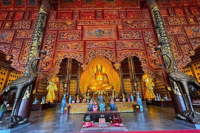 From Ninh Binh: Discover Bai Dinh Pagoda, Mua Cave & Trang An - The Itinerary in Detail