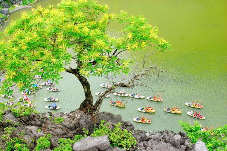 from-ninh-binh-longest-day-trip-trang-an-mua-cave-lunch