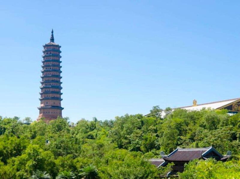 From Ninh Binh: Mua Cave, Bai Dinh Pagoda, and Trang An Tour - In-Depth Look at the Tour Experience