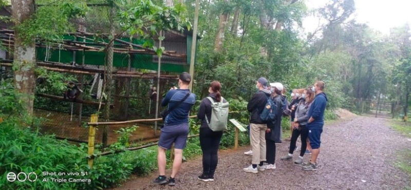 from-ninh-binh-small-group-discover-cuc-phuong-national-park