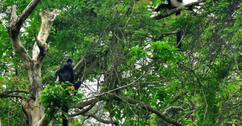 from-ninh-binh-small-group-discover-cuc-phuong-national-park