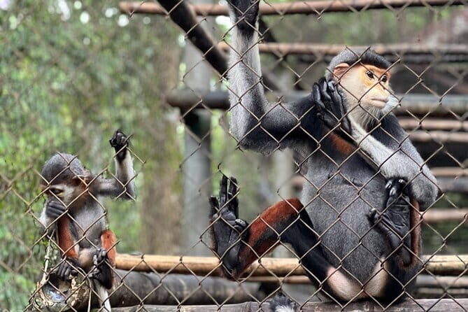 From Ninh Binh to Cuc Phuong National Park, Trekking and Jungle - Practical Details and Tips