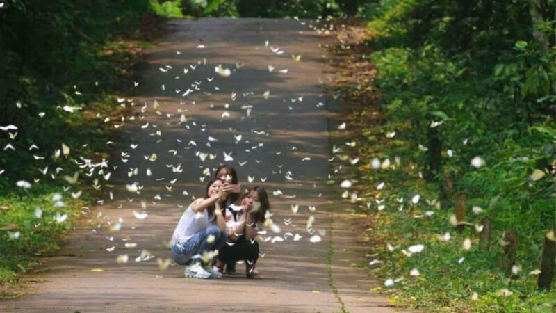 From Ninh Binh: Visit Cuc Phuong National Park - Van Long - Final Thoughts