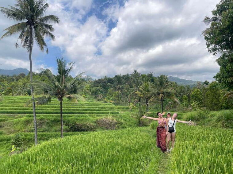 from-north-bali-aling-aling-waterfall-and-blue-lagoon-tour