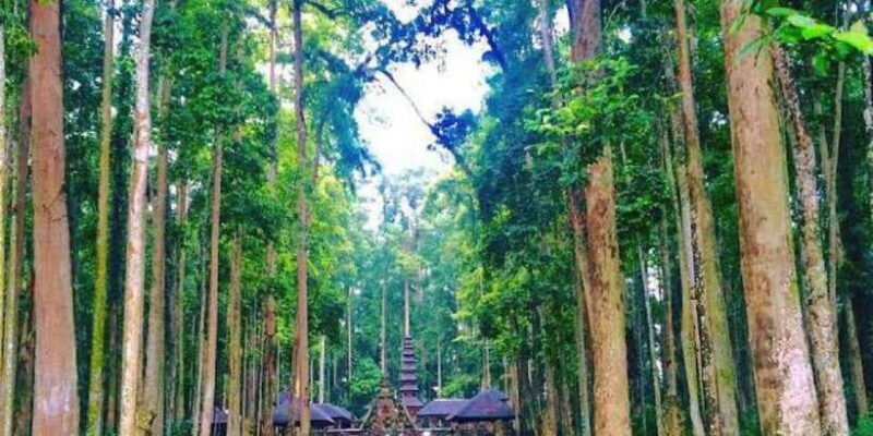from-north-bali-tanah-lot-sangeh-forest-ulun-danu-temple