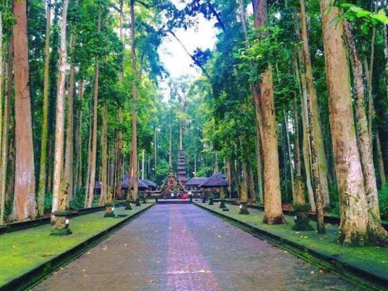 from-north-bali-tanah-lot-sangeh-forest-ulun-danu-temple