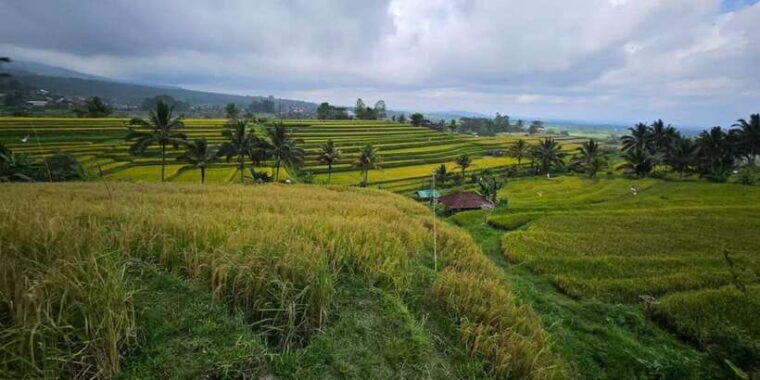 from-north-bali-tanah-lot-sangeh-forest-ulun-danu-temple