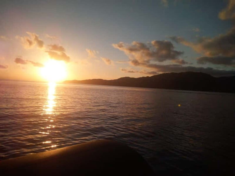 From Notteri: Isola dei Cavoli and Punta Molentis Boat Trip - Who Is This Tour Best For?