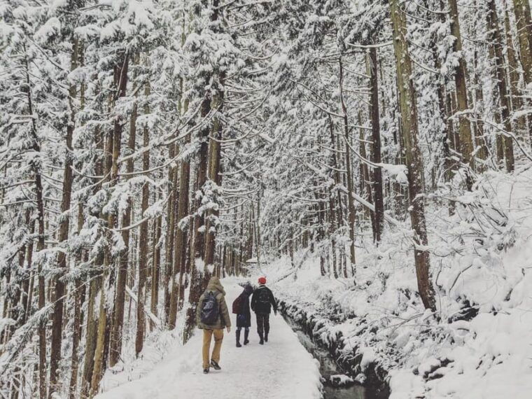 from-nozawa-onsen-snow-monkeys-and-zenko-ji-day-trip-sake