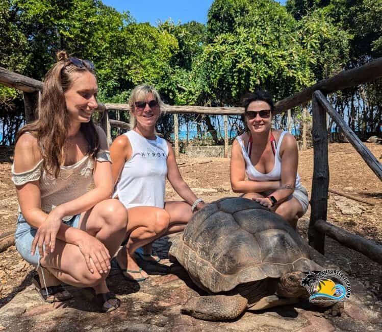 From Nungwi/Kendwa: Prison Island & Nakupenda Sandbank Trip - The Itinerary: What to Expect on This Tour