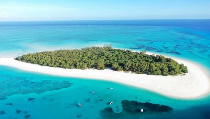 From Nungwi : Mnemba Boat Trip and Dolphin Snorkel Adventure - Overview of the Experience
