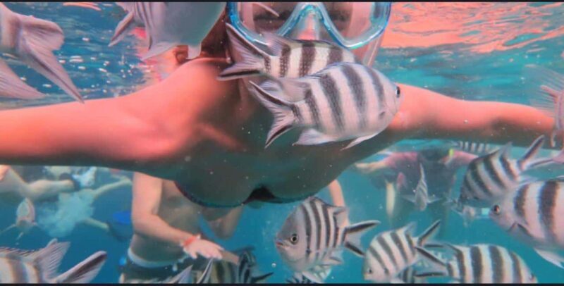 FROM NUNGWI; MNEMBA SNORKELING AND DOLPHIN TOUR - Final Thoughts on Who This Tour Is For