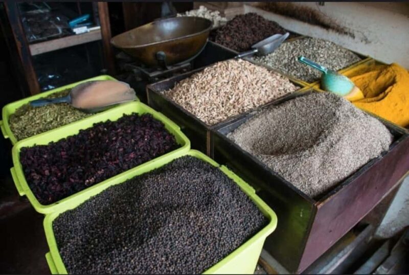 FROM NUNGWI: PRISON ISLAND, STONE TOWN AND SPICE FARM TOUR - Authentic Insights from Past Travelers
