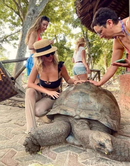 FROM NUNGWI: STONE TOWN, SPICE FARM TOUR AND PRISONAL ISLAND - Who Is This Tour For?