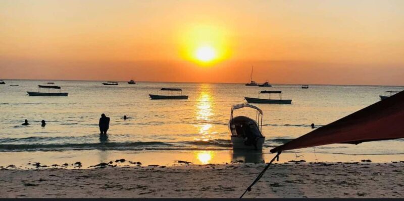 FROM NUNGWI; SUNSET DHOW CRUISE EXPERIENCE - The Experience: What You’ll Likely Encounter