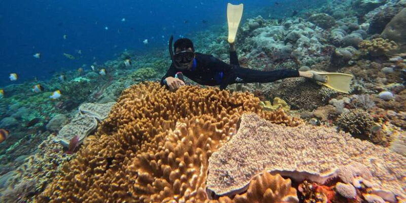 from-nusa-penida-3-spots-snorkeling-tour-with-manta-rays