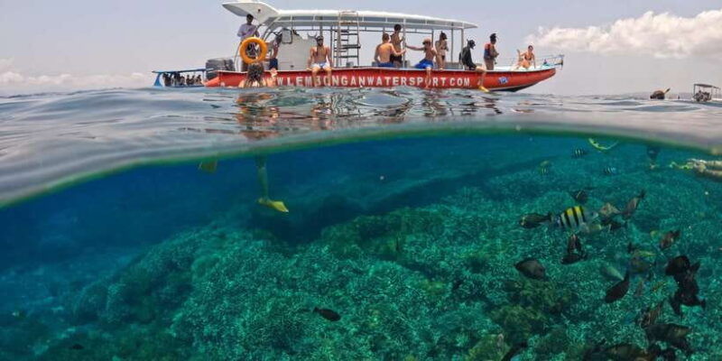 from-nusa-penida-3-spots-snorkeling-tour-with-manta-rays