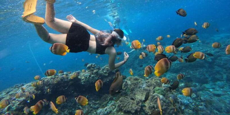 from-nusa-penida-3-spots-snorkeling-tour-with-manta-rays