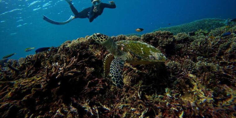 from-nusa-penida-3-spots-snorkeling-tour-with-manta-rays