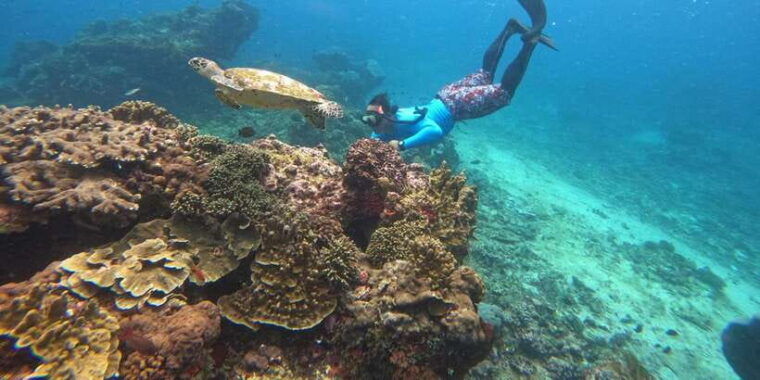 from-nusa-penida-3-spots-snorkeling-tour-with-manta-rays
