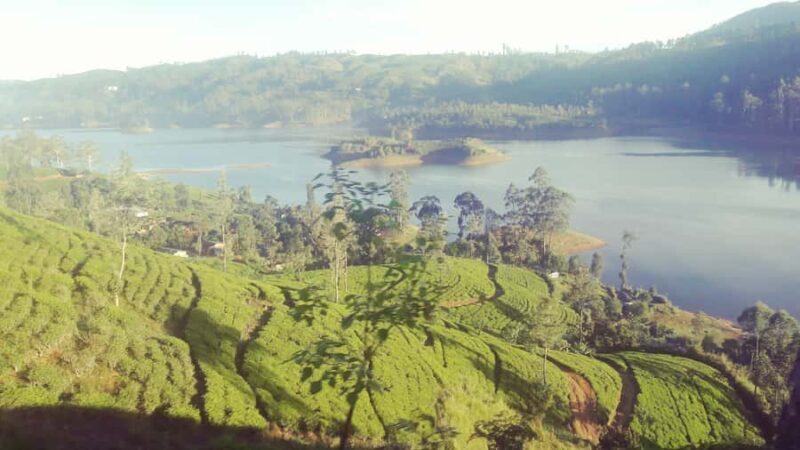 From Nuwara Eliya: Adam's Peak Climb & Ella Drop - An In-Depth Look at the Tour Experience