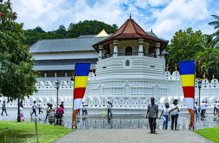 from-nuwara-eliya-to-kandy-drop-tour
