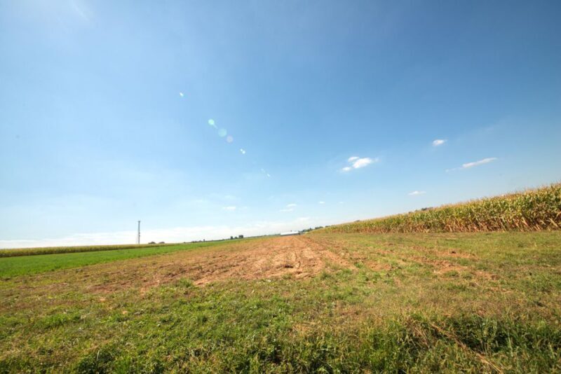 From NYC: Day Trip to Philadelphia and Amish Country - Value for Money