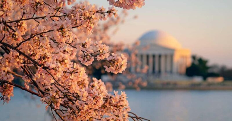 From NYC: Niagara Falls, Washington DC and Boston 4-Day Trip - How the Experience Adds Up in Value  